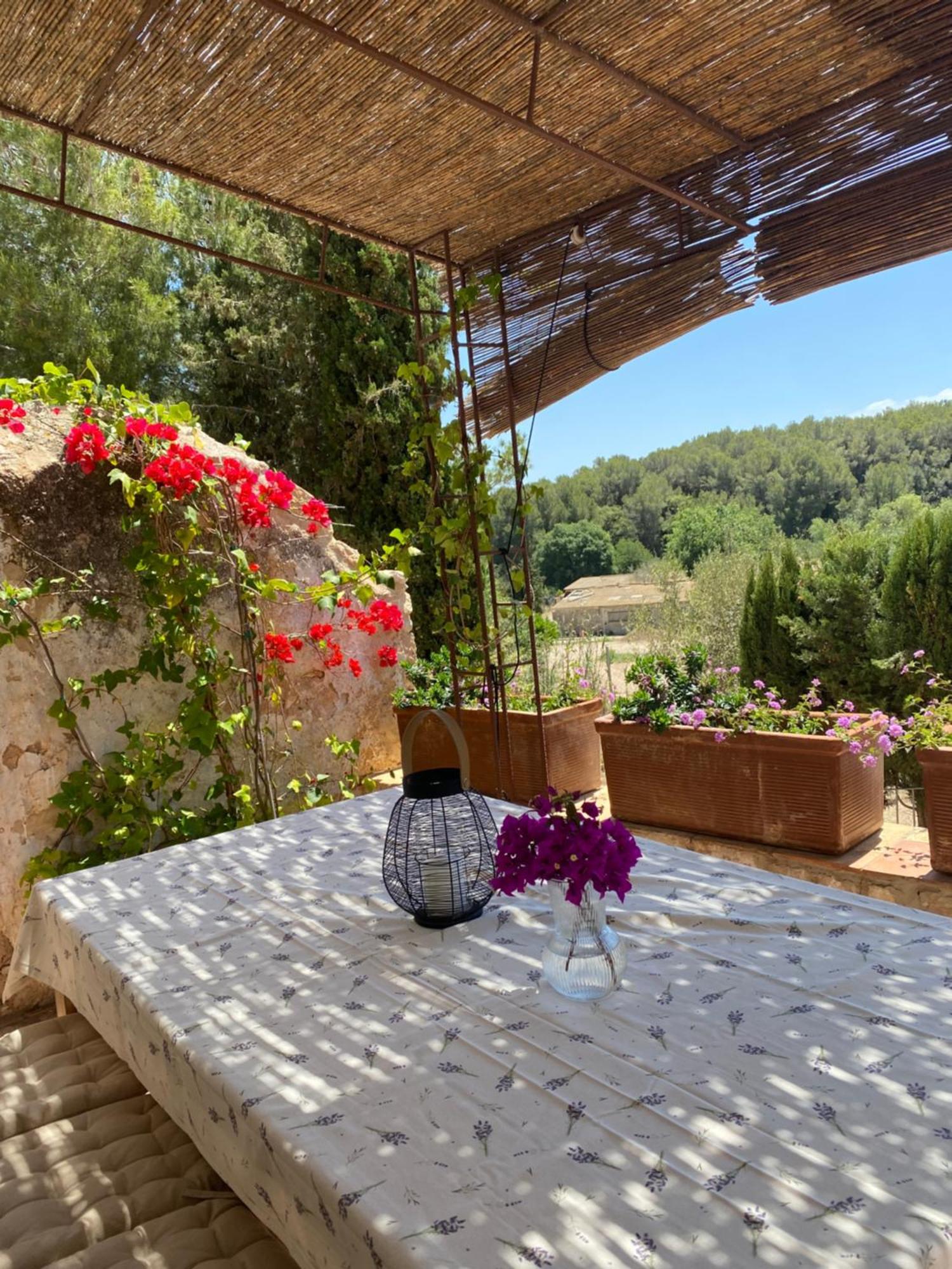 Casa Rural Con Jardin,A 8Km Playa Y En La Naturaleza Taronja&Canyella Ardenya Esterno foto